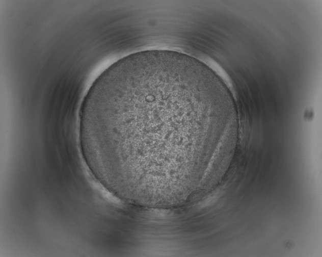 X0000092221096200709281038
