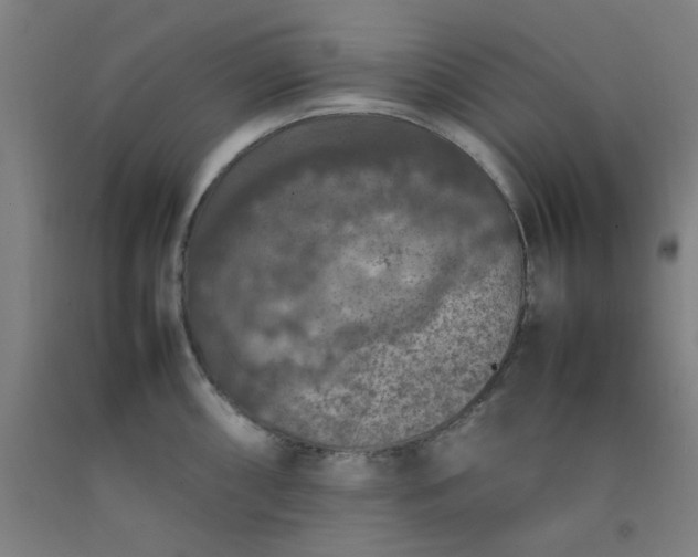 X0000092221098200709281038