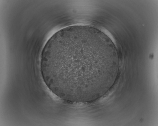 X0000092221099200709281038