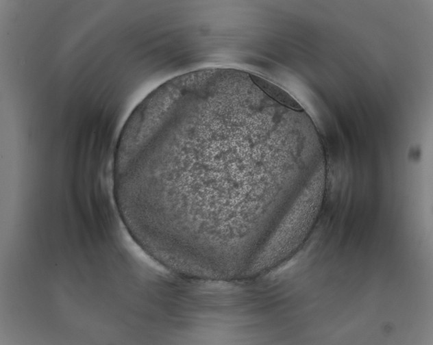 X0000092221100200709281038