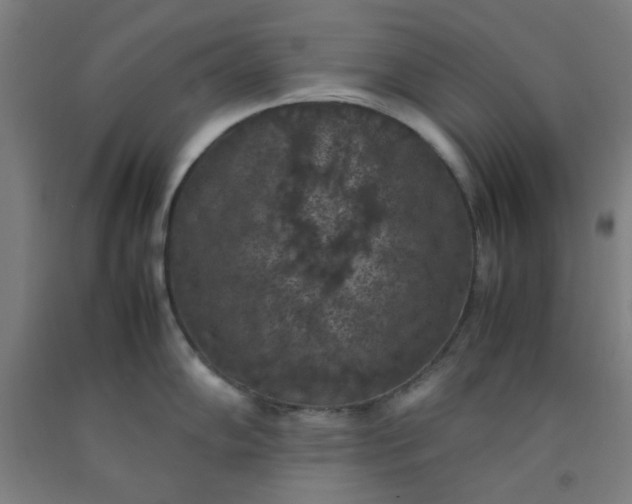 X0000092221102200709281038