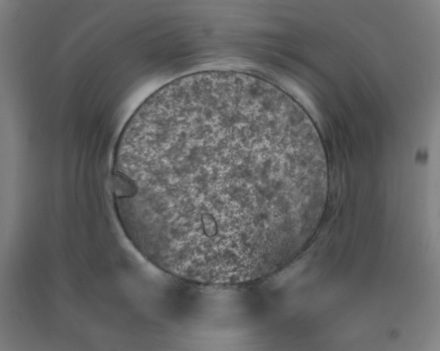 X0000092221103200709281038