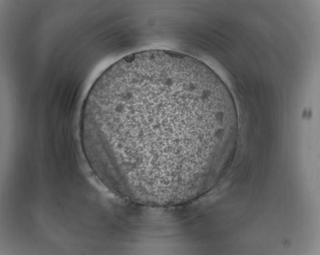 X0000092221104200709281038