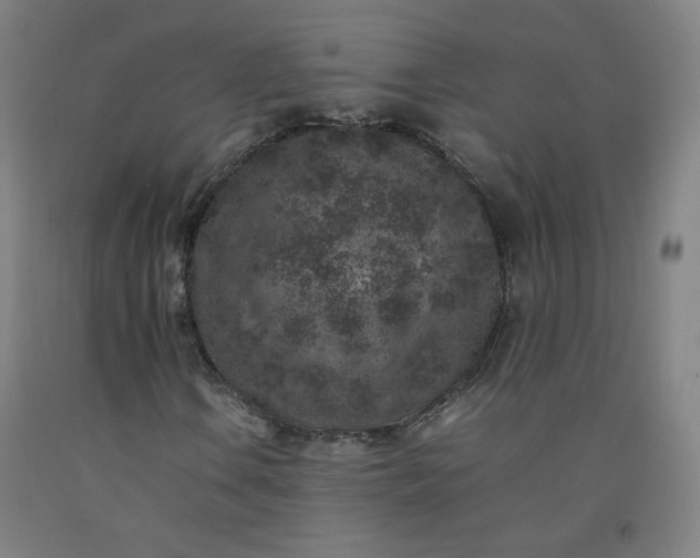 X0000092221106200709281037