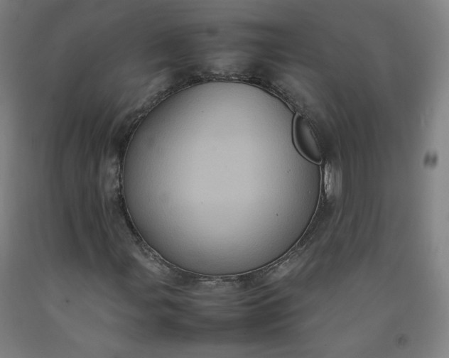 X0000092221107200709281037