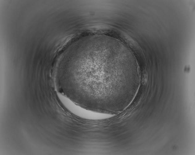 X0000092221108200709281037