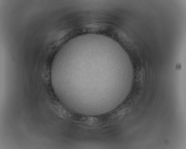 X0000092221109200709281038