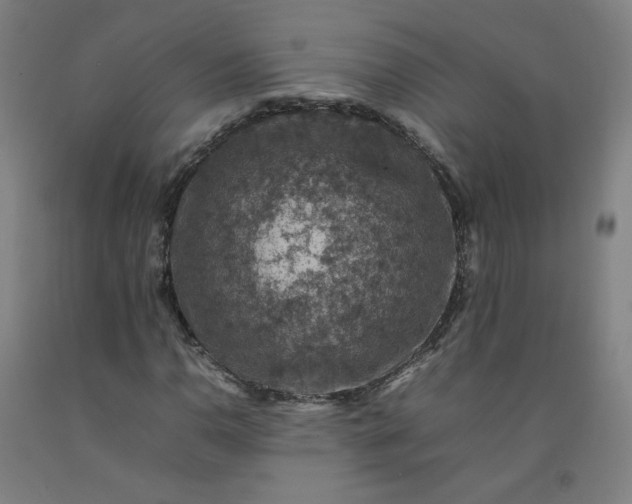 X0000092221110200709281038