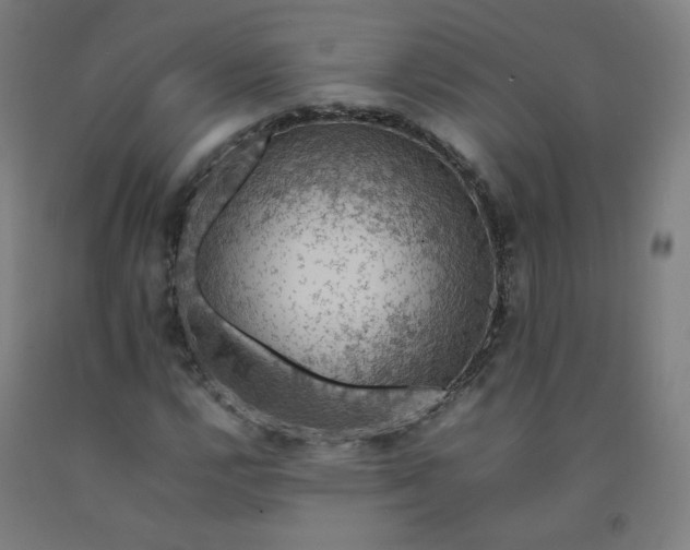 X0000092221112200709281038