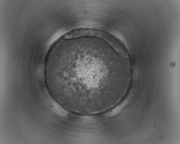 X0000092221114200709281038