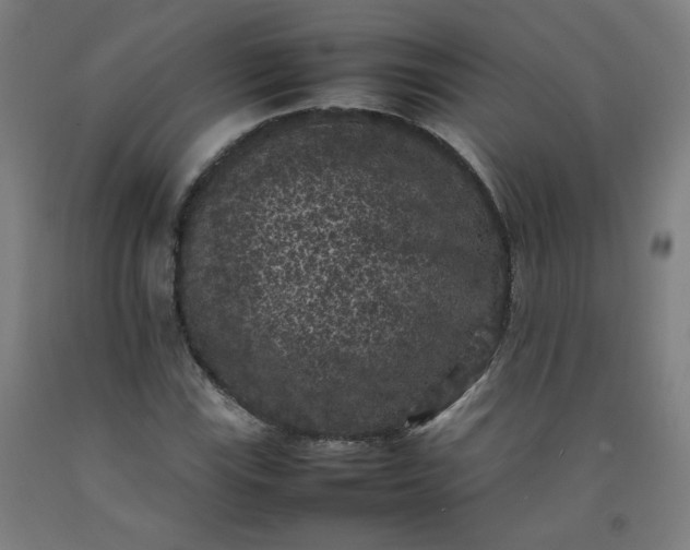 X0000092221115200709281038