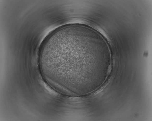 X0000092221116200709281038