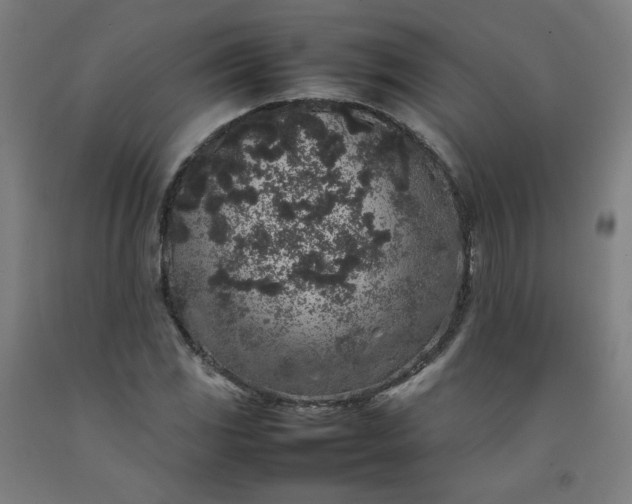 X0000092221117200709281038