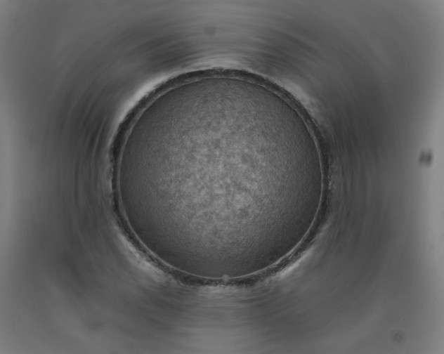 X0000092221118200709281038