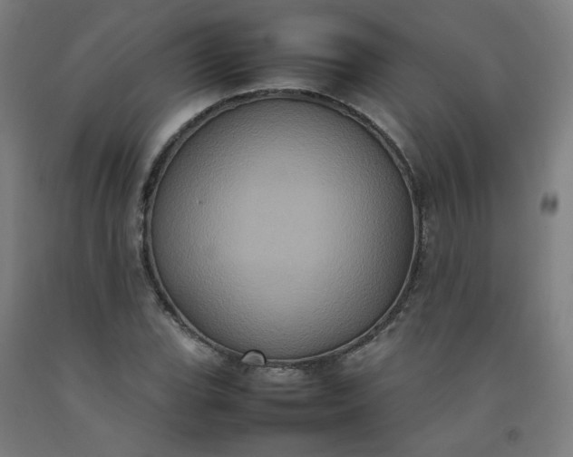 X0000092221119200709281038