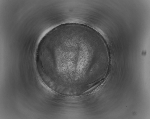 X0000092221120200709281038