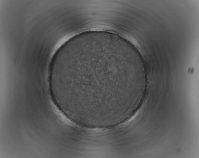 X0000092221122200709281038