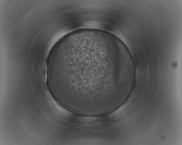 X0000092221123200709281038