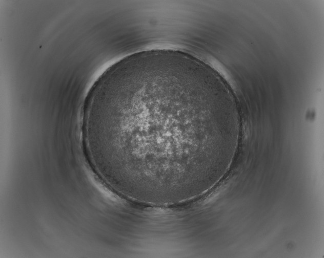 X0000092221124200709281038