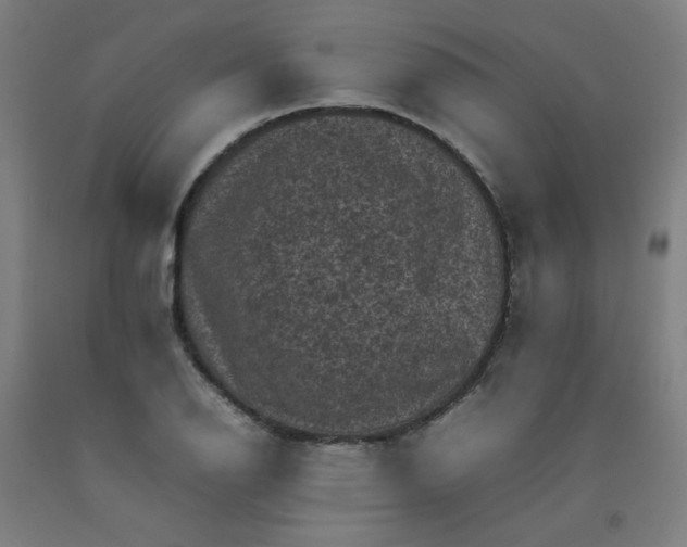 X0000092221126200709281038