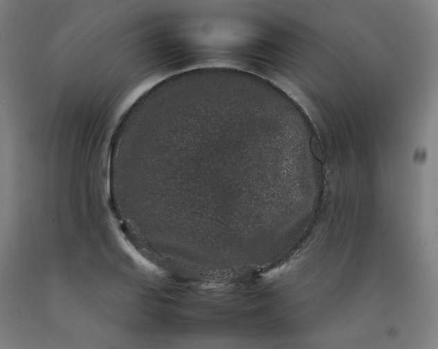 X0000092221127200709281038