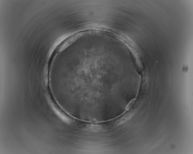 X0000092221128200709281038