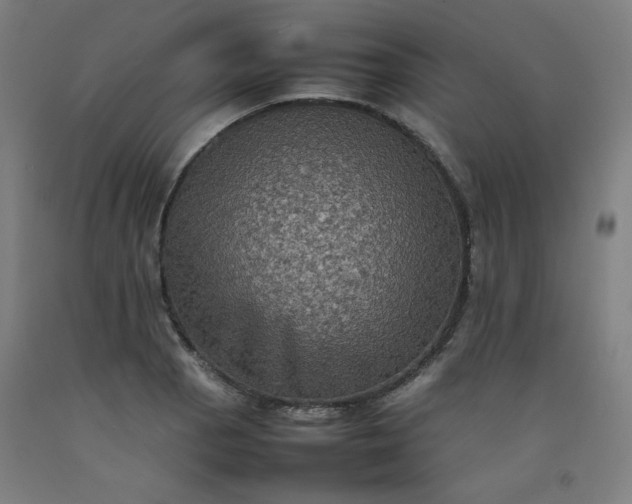 X0000092221129200709281038