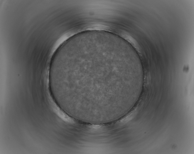X0000092221130200709281038