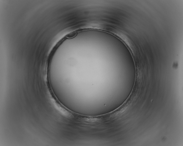 X0000092221131200709281038
