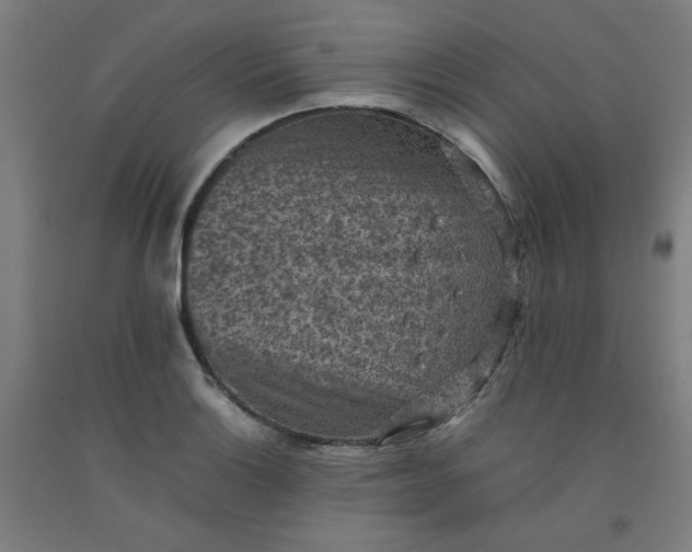 X0000092221132200709281038