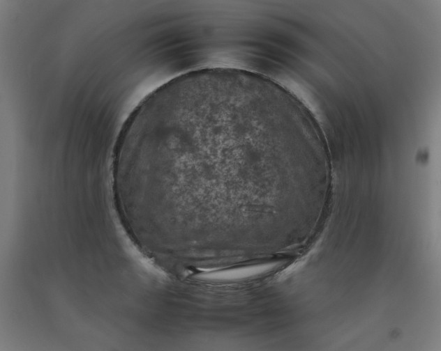 X0000092221133200709281038
