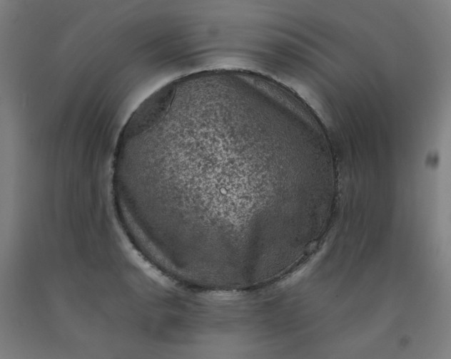 X0000092221134200709281038