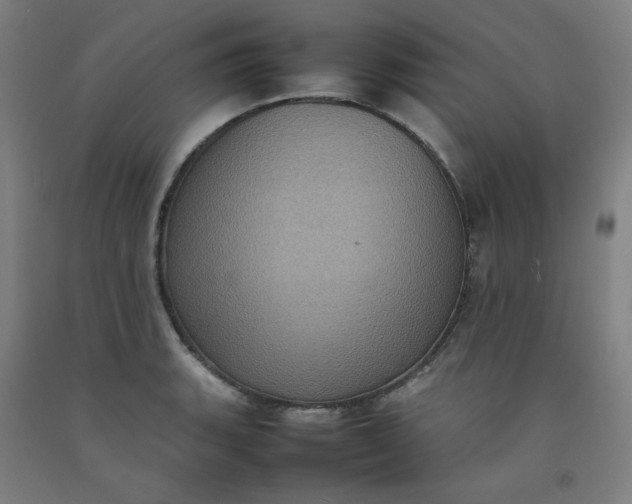 X0000092221135200709281038