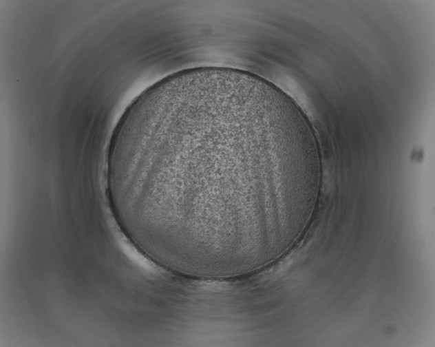 X0000092221136200709281038