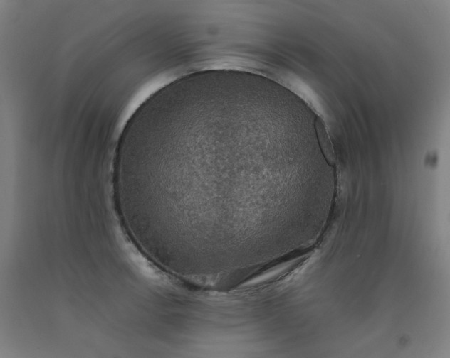 X0000092221138200709281038