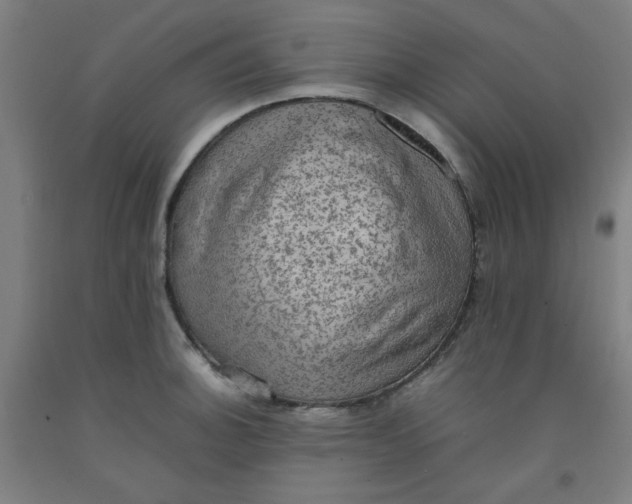 X0000092221140200709281038