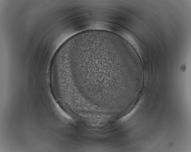 X0000092221141200709281038