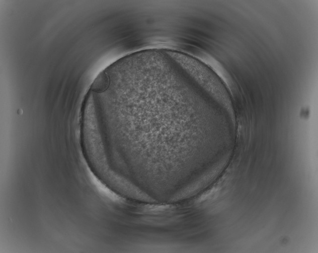X0000092221143200709281038