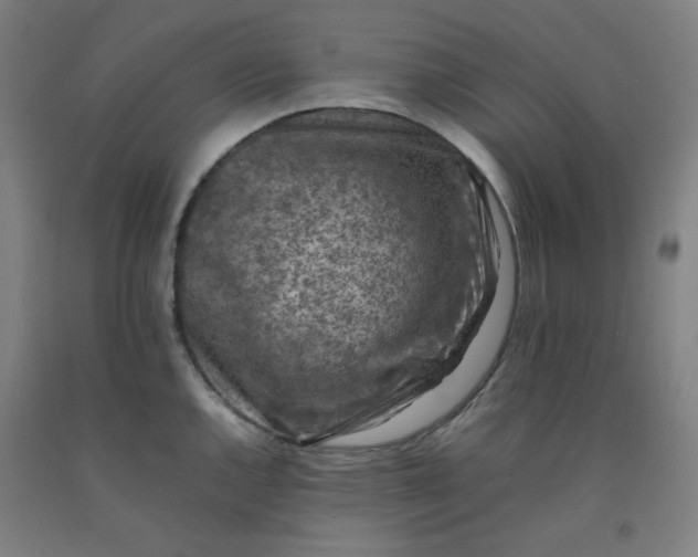 X0000092221144200709281038