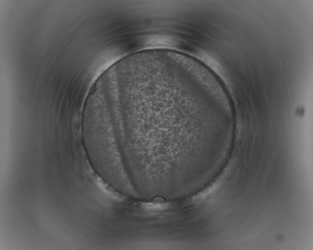X0000092221145200709281038