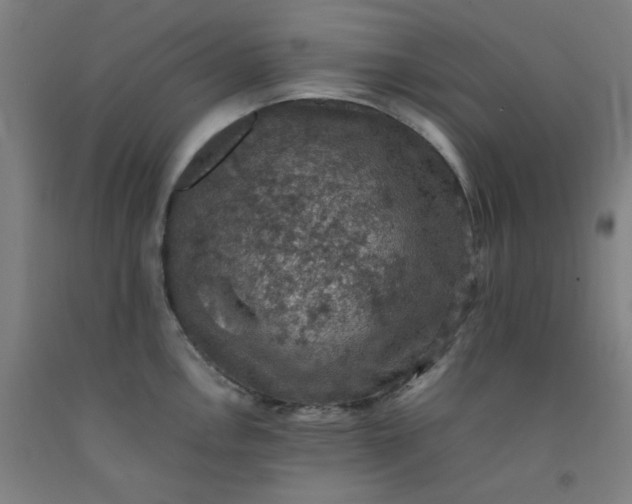 X0000092221146200709281038
