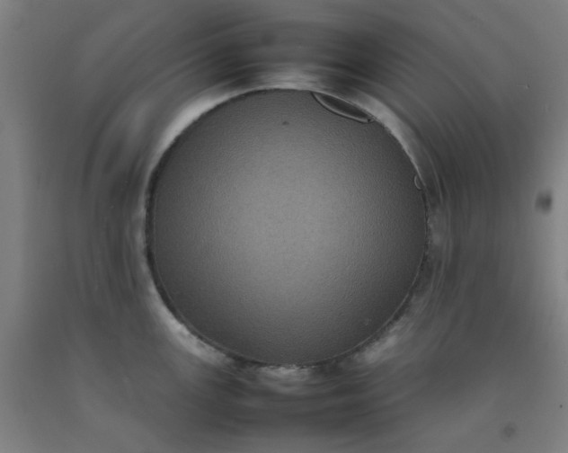 X0000092221147200709281038