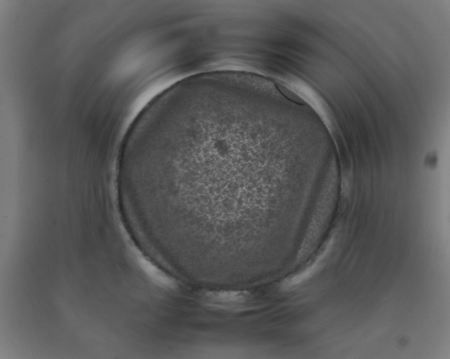 X0000092221149200709281038