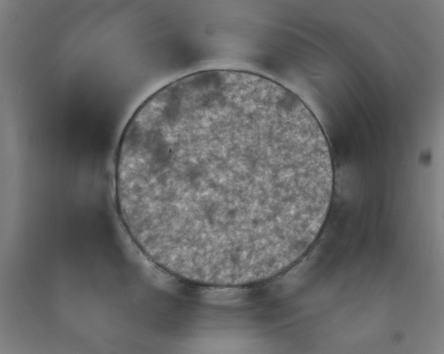 X0000092221150200709281038