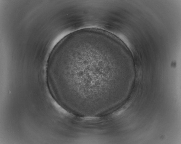 X0000092221151200709281038
