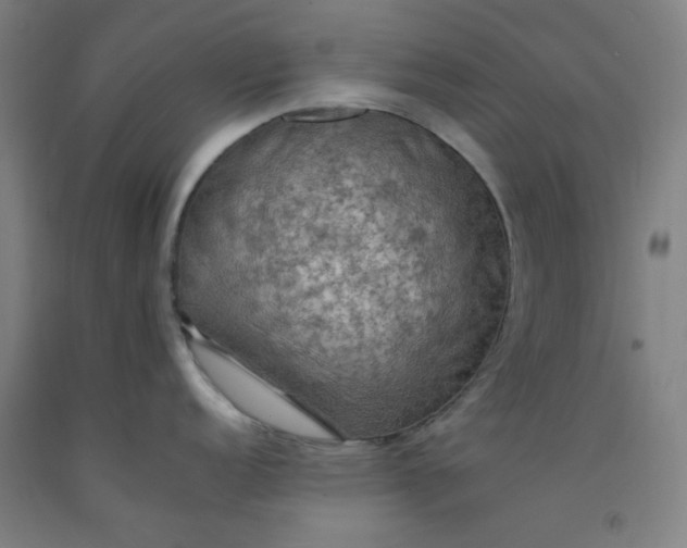 X0000092221152200709281038