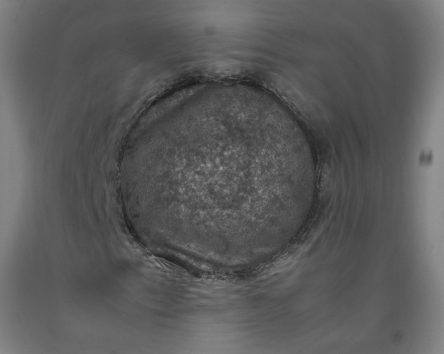 X0000092221153200709281037