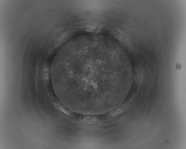 X0000092221154200709281037