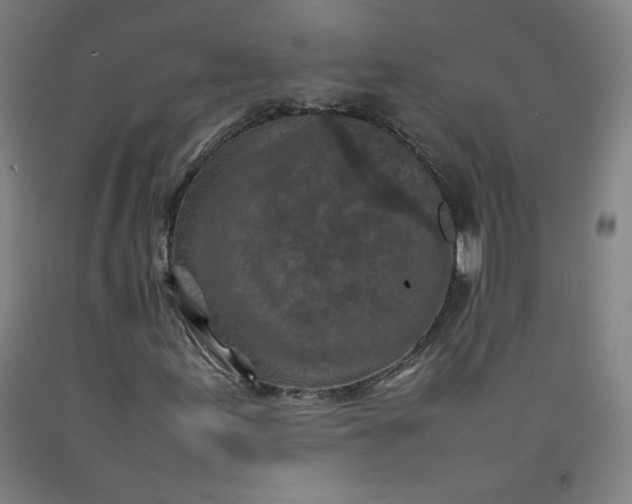 X0000092221155200709281037