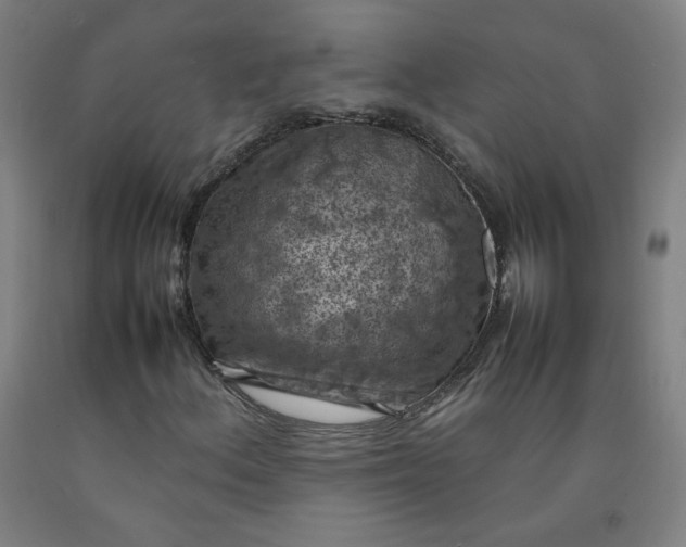 X0000092221156200709281037
